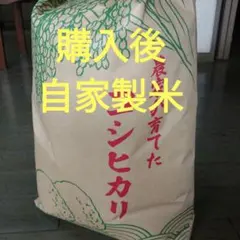 ぴょんきち様専用、ヒノヒカリ、野菜セット奈良県産 - メルカリ
