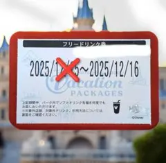 ディズニーリゾート　バケパ　フリードリンク券　１枚12月16日のみ