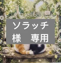 ソラッチ様　専用