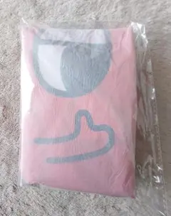 非売品 新品未開封 カーセンター カーモ パンティングバッグ