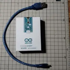 ARDUINO NANO EVERY