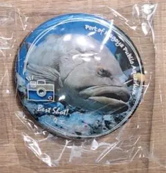 イルカメ様 リクエスト 5点 まとめ商品