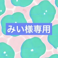 みい様　専用
