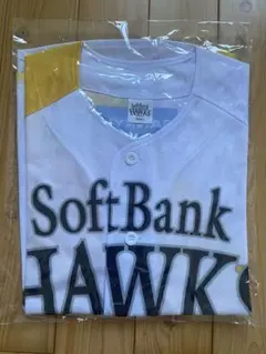 Item thumbnail for item eb8c2cd1-fd8c-4bd0-9c82-2c2ddf1f06ea