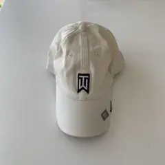 Item thumbnail for item 528ca322-3028-4829-907e-1a1ebeda6c60