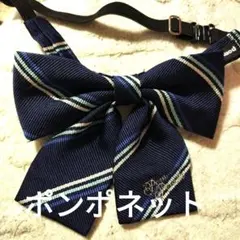 Item thumbnail for item 54e52ca9-0931-4892-be30-90381613bf4d