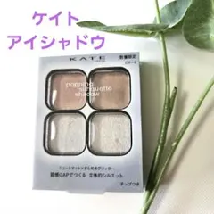 KATE(ケイト) ポッピングシルエットシャドウ