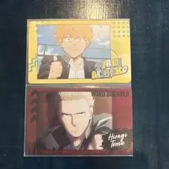 WIND BREAKER スナップマイド