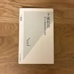 下流社会 : 新たな階層集団の出現