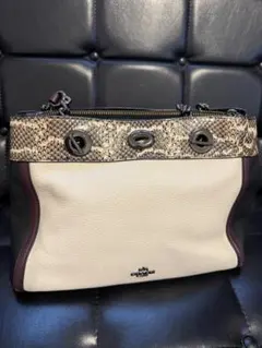 COACH コーチ レディースバッグ チェーン ショルダーバッグ パイソン