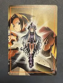2026年最新】シャーマンキング カード prizeの人気アイテム - メルカリ