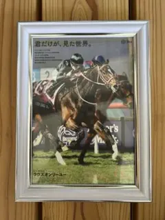 ラヴズオンリーユー JRA 競馬 写真 額縁セット　ポスター