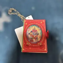 東京ディズニーランド　クリスマス2017 パスケース