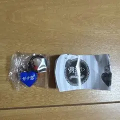 病ンドク？ガエル　ガチ恋　新品