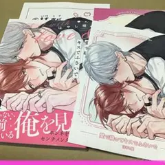 愛で縫ってキスでふさいで コミコミ特典付