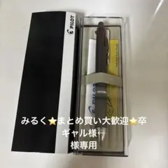 PILOT ボールペン グレー ブラック ケース付き