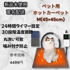 Item thumbnail for item 4f9071bb-e62d-4f22-9ca6-94cdefce5ed2