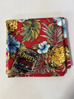 Item thumbnail for item 22277b9b-8f89-451c-8b14-b9bb1306dde1