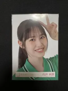 Item thumbnail for item 23489b75-b03e-499e-8c1e-2dddb49d95a1