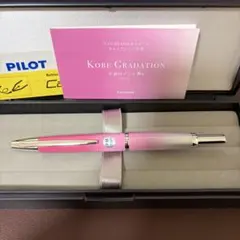 パイロット キャップレス NAGASAWA 雪御所ザクラ シルバー 万年筆