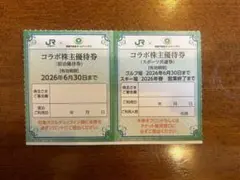 JR東日本✖️東急コラボ株主優待券（宿泊・ゴルフ場・スキー場）