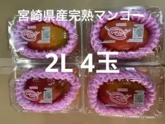 便宮崎県産完熟マンゴーLサイズ6玉1.9kg以上 - メルカリ