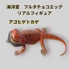 海洋堂　フルタ　チョコエッグ　リアルフィギュア　アゴヒゲトカゲのサムネイル