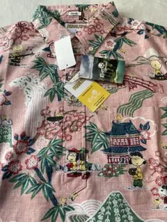 Item thumbnail for item 3b0405d1-0cae-4717-bdb8-d9a400e086a9