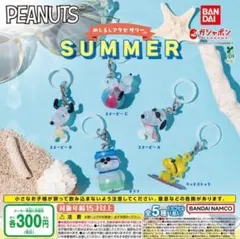 PEANUTS めじるしアクセサリー SUMMER 全5種コンプリート