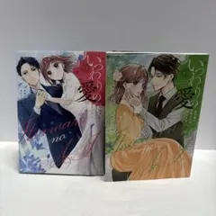 いつわりの愛～契約婚の旦那さまは甘すぎる～　1 2巻　金森ケイタ