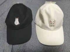 Item thumbnail for item e6cfaf36-b5fc-4312-874d-1ea7794a22b0