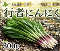 行者にんにく苗 20本入り 北海道産根付き苗 - メルカリ