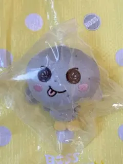 新品未開封 RIIZE 109 マスコットキーホルダー ぬいぐるみ ウンソク RIIZE ウンソク キャラクター ぬいぐるみ キーホルダー セット価格