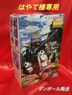 【はやて様専用】MG 1/100 RX-79[G] 陸戦型ガンダム