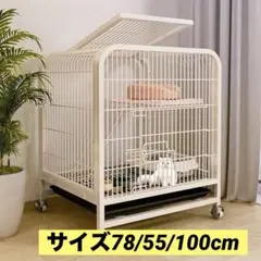 Item thumbnail for item 26021018-7bf9-4fdc-af07-0b0ecfb0ff95