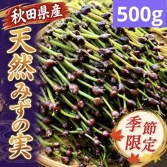 山菜　ミズの実　ミズのコブ 注文専用 新潟県産　採れたて新鮮発送 新鮮山菜】天然みずの実 ミズのコブ 500g - メルカリ