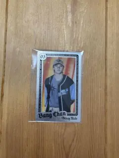 Stray Kids エコパ ライブフォトカード バンチャン