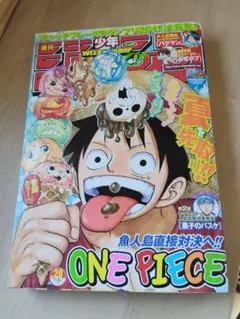 週刊少年ジャンプ 2011年28号 ONE PIECE表紙のサムネイル