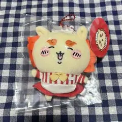 ✧ ホール担当なマスコット シーサー