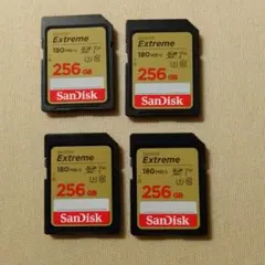 58 超美品 Gigastone 512GB SDカード 2枚 - メルカリ