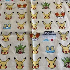 新品ポケットモンスター キャラクター生地
