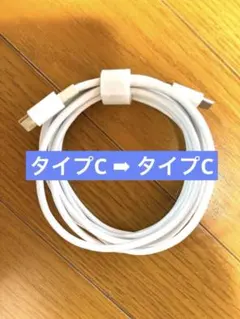 Apple純正 type-c 充電器