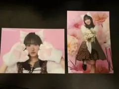 2026年最新】坂倉花 チェキの人気アイテム - メルカリ