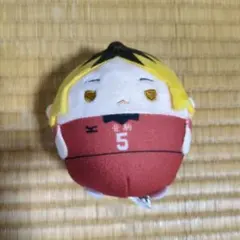 2025年最新】孤爪研磨ふわコロりんの人気アイテム - メルカリ