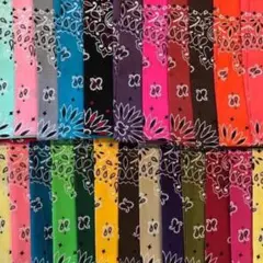 pacman様専用 HAV-A-HANK ペイズリーバンダナ2枚セット