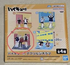 ハイキュー!! アクリルジオラマ C