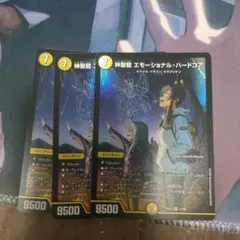 神聖龍 エモーショナルハードコア
