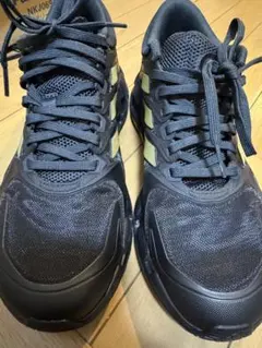 Item thumbnail for item 820d9a77-7d3f-46e2-add4-829bcf020d2d