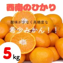 2026年最新】西南のひかりの人気アイテム - メルカリ