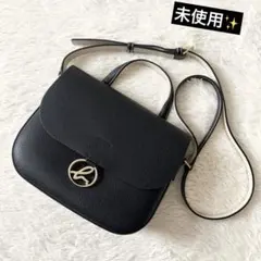 未使用✨アニエスベー 2way レザーショルダーバッグ ブラック